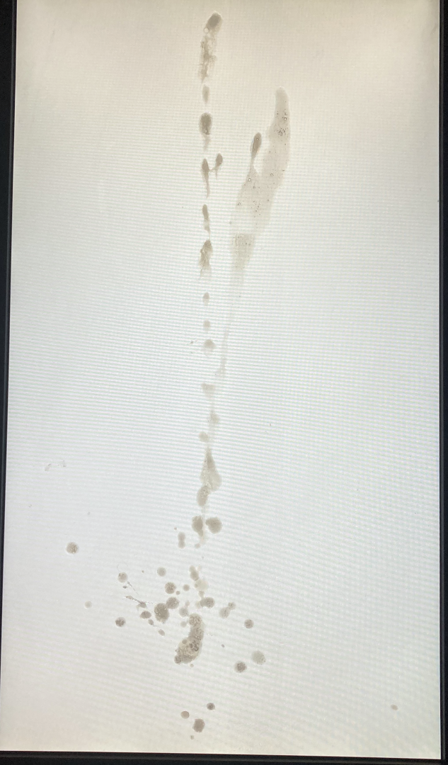 xZtBT4aU big load for Emma Watson 04.png